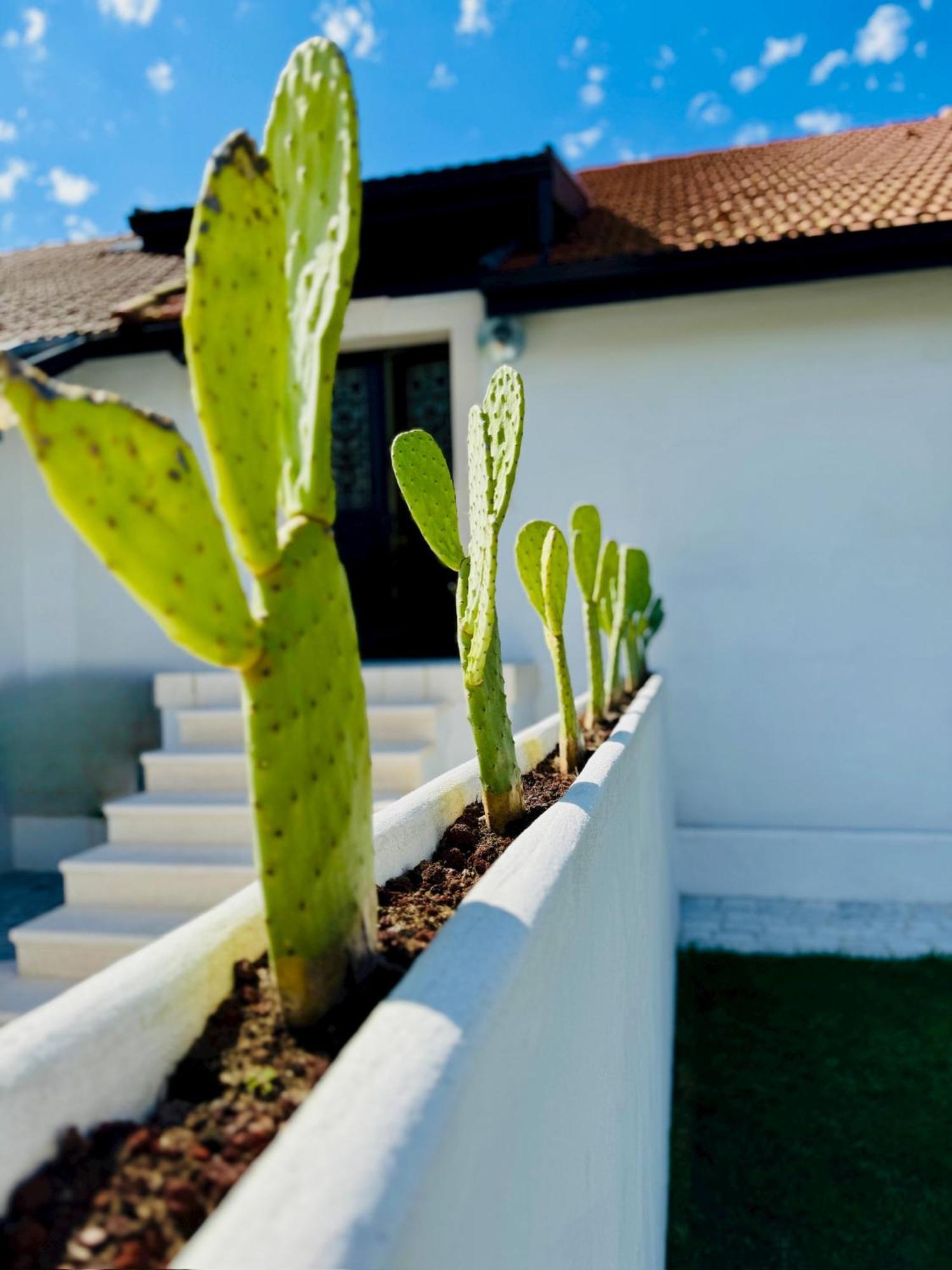 Green Garage Bajonna Zewnętrze zdjęcie