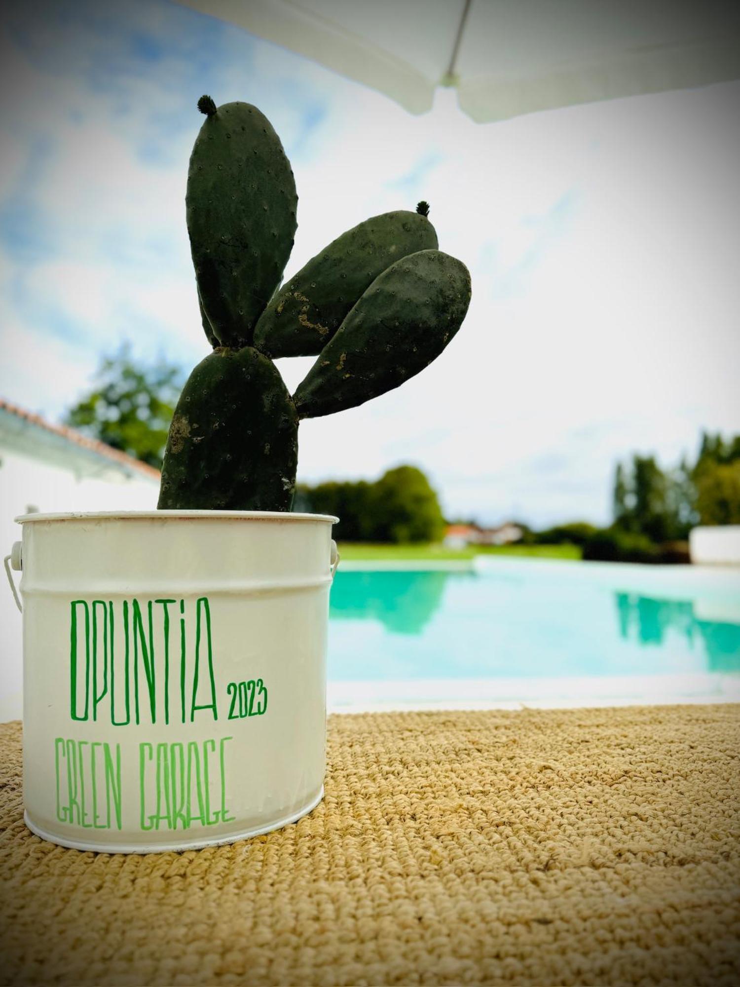 Green Garage Bajonna Zewnętrze zdjęcie